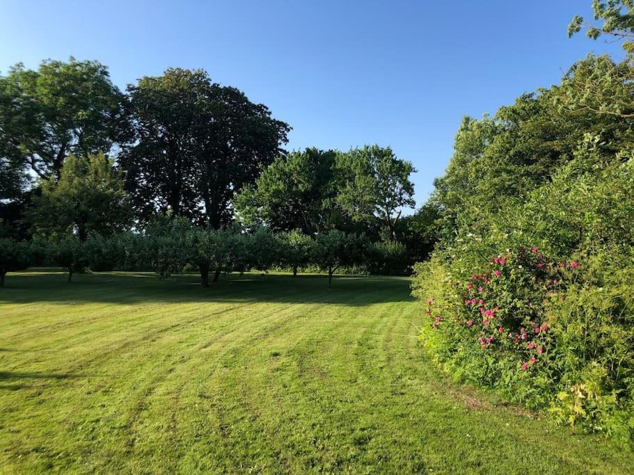 Cottage With Big Garden On Danish Countryside Rodby Exterior photo